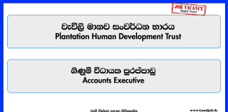 accounts-executive-plantation-human-development-trust