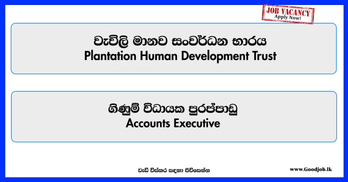 accounts-executive-plantation-human-development-trust