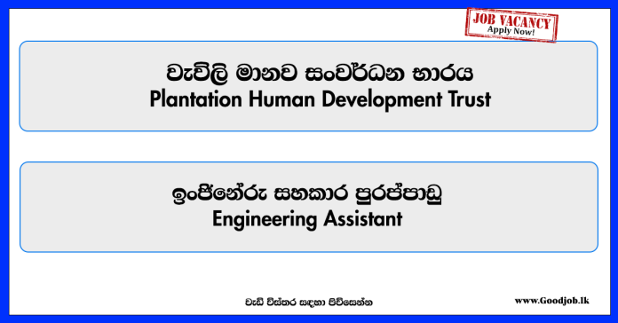 engineering-assistant-plantation-human-development-trust