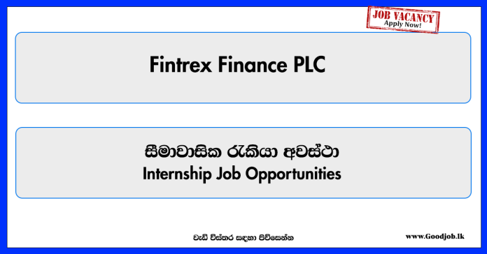 interns-fintrex-finance-plc