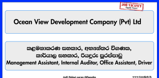 management-assistant-internal-auditor-office-assistant-driver-ocean-view-development-company-private-limited
