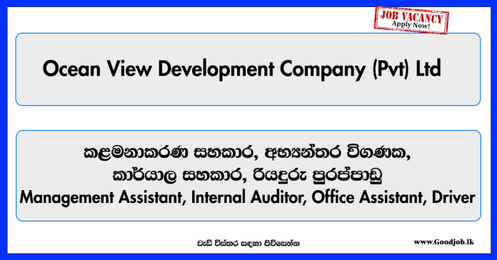management-assistant-internal-auditor-office-assistant-driver-ocean-view-development-company-private-limited