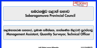 management-assistant-quantity-surveyor-technical-officer-sabaragamuwa-provincial-council-