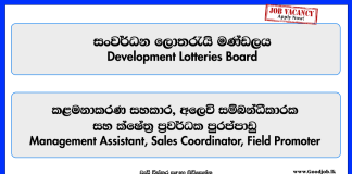 management-assistant-sales-coordinator-field-promoter-development-lotteries-board