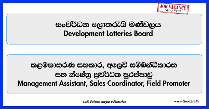 management-assistant-sales-coordinator-field-promoter-development-lotteries-board
