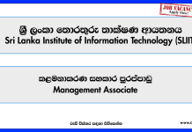 management-associate-sri-lanka-institute-of-information-technology-sliit-