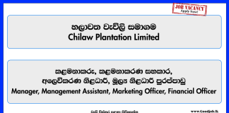 manager-management-assistant-marketing-officer-financial-officer-chilaw-plantation-limited
