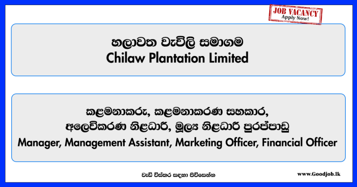 manager-management-assistant-marketing-officer-financial-officer-chilaw-plantation-limited