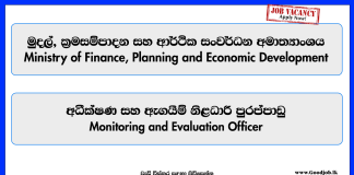 monitoring-and-evaluation-officer-ministry-of-finance-planning-and-economic-development