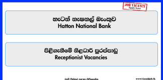 receptionist-hatton-national-bank