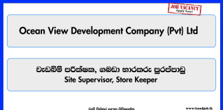 site-supervisor-store-keeper-ocean-view-development-company-private-limited