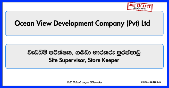 site-supervisor-store-keeper-ocean-view-development-company-private-limited