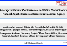 Management Assistant, Surveyor, Project Officer, Stores Officer, Librarian, Personal Assistant, Technical Officer, Development Officer NARA Vacancies