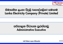 administrative-executive-leco