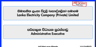 administrative-executive-leco