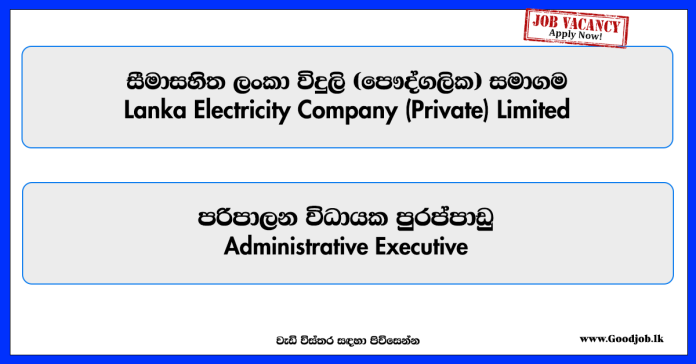 administrative-executive-leco