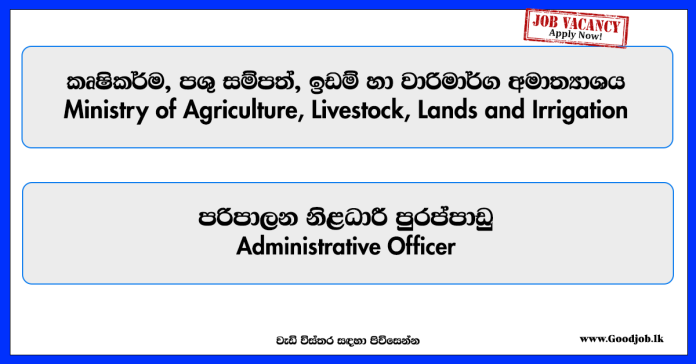 administrative-officer-ministry-of-agriculture-livestock-lands-and-irrigation