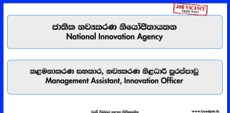 management-assistant-innovation-officer-national-innovation-agency