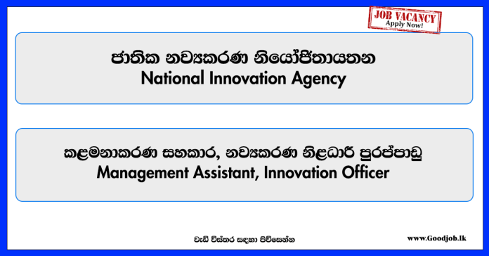management-assistant-innovation-officer-national-innovation-agency