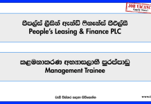 management-trainee-people-s-leasing-finance-plc