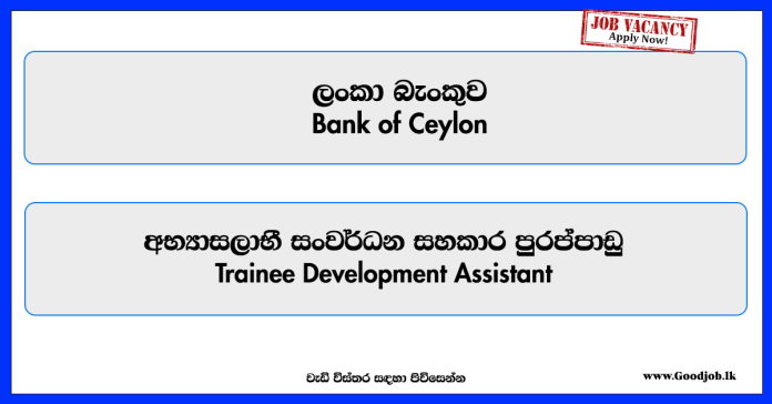 trainee-development-assistant-bank-of-ceylon