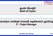 it-project-manager-bank-of-ceylon
