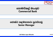 senior-manager-commercial-bank-