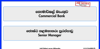 senior-manager-commercial-bank-