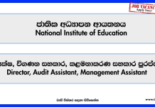 director-audit-assistant-management-assistant-national-institute-of-education