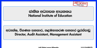 director-audit-assistant-management-assistant-national-institute-of-education
