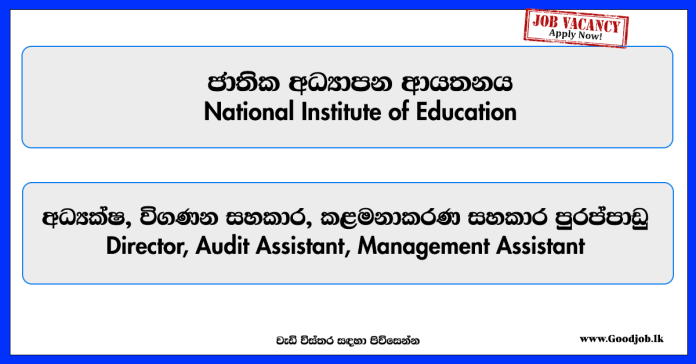director-audit-assistant-management-assistant-national-institute-of-education