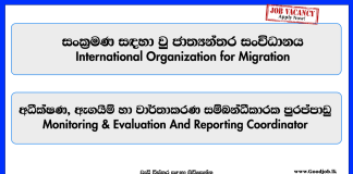 monitoring-evaluation-and-reporting-coordinator-international-organization-for-migration