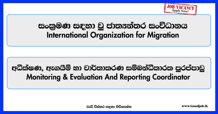 monitoring-evaluation-and-reporting-coordinator-international-organization-for-migration