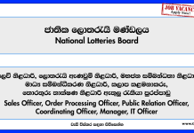sales-officer-order-processing-officer-public-relation-officer-coordinating-officer-manager-it-officer-programmer-nlb