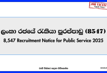 8,547 Government Job Vacancies in Sri Lanka 2025 | Public Service Recruitment Notice
