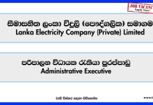 administrative-executive-lanka-electricity-company-private-limited