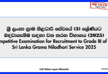 Competitive Examination for Recruitment to Grade III of the Sri Lanka Grama Niladhari Service 2025 grama-niladhari-vacancies-2025