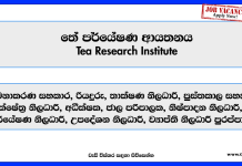 management-assistant-driver-technical-officer-more-vacancies-tea-research-institute