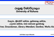 university-of-ruhuna-jobs-2025