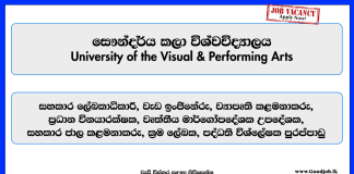 university-of-the-visual-performing-arts-vacancies-2025