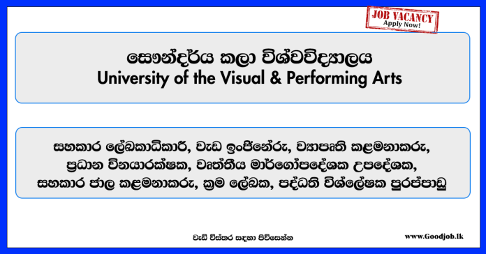 university-of-the-visual-performing-arts-vacancies-2025