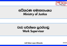 work-supervisor-ministry-of-justice
