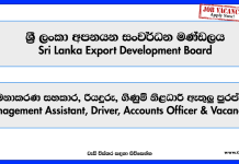 Management Assistant, Driver, Accounts Officer & Vacancies – Sri Lanka Export Development Board 2025 management-assistant-driver-accounts-officer-vacancies-sri-lanka-export-development-board