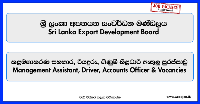 management-assistant-driver-accounts-officer-vacancies-sri-lanka-export-development-board