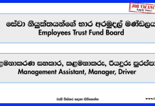 management-assistant-driver-manager-employees-trust-fund-board-job-vacancies-2025