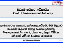 management-assistant-librarian-legal-officer-technical-officer-laboratory-assistant-chemist-director-central-environmental-authority