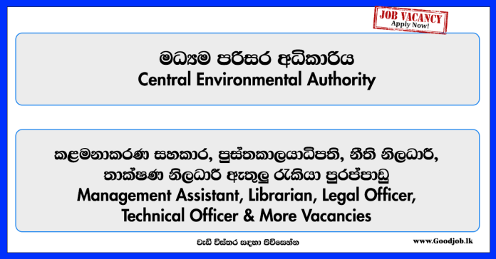management-assistant-librarian-legal-officer-technical-officer-laboratory-assistant-chemist-director-central-environmental-authority