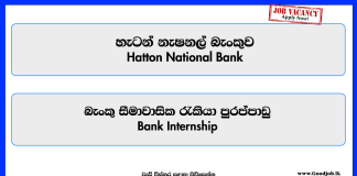 bank-internship-for-school-leavers-hnb-2025
