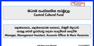 central-cultural-fund-jobs-2025