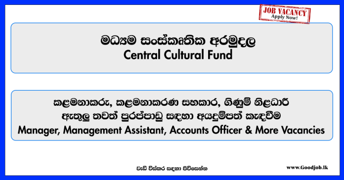 central-cultural-fund-jobs-2025 central-cultural-fund-jobs-2025